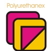 Polyurethanex Moscú 2013