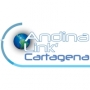 Andina Link
