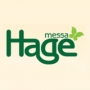 Hagemessa Lillestrom