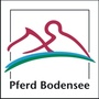 Pferd Bodensee