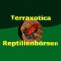 Terraxotica Oldenburg