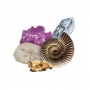 Westdeutsche Mineralientage Dortmund