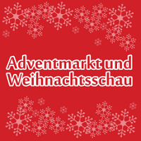 Mercado de Adviento de Viena y la Exposición Navideña  Viena