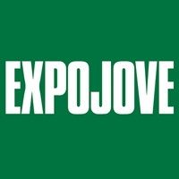 EXPOJOVE Girona EXPOJOVE Girona