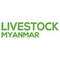 Livestock Myanmar  Rangún