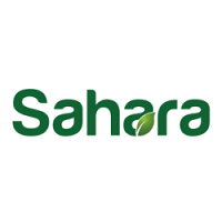 Sahara 2022 El Cairo