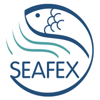 SEAFEX  Dubái