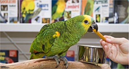artículos para zoológicos