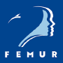 FEMUR, Segovia