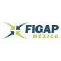 FIGAP, Guadalajara