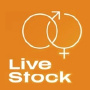 Live Stock Brno
