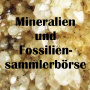 Mineralien und Fossiliensammlerbörse, Eggenburg